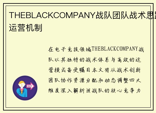 THEBLACKCOMPANY战队团队战术思路与运营机制